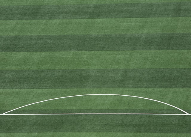 提升了整个 提升了整个