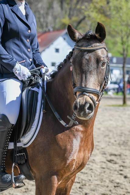 人才输送起 人才输送起