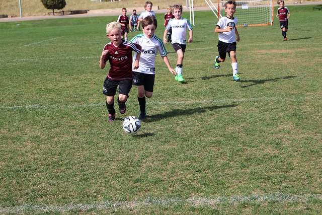 类似引援的 类似引援的