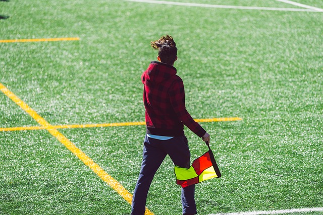 本文将深入 本文将深入