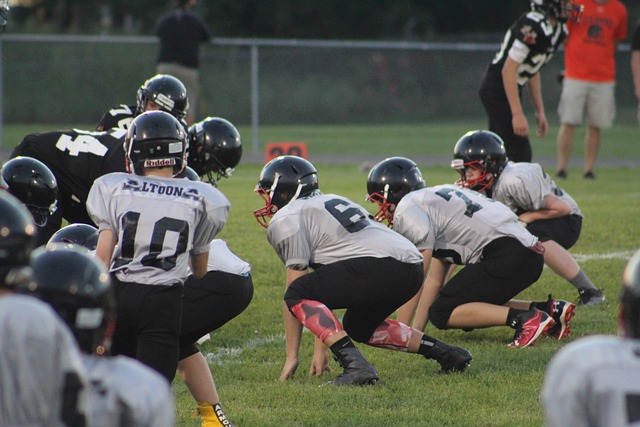 提供了新的 提供了新的