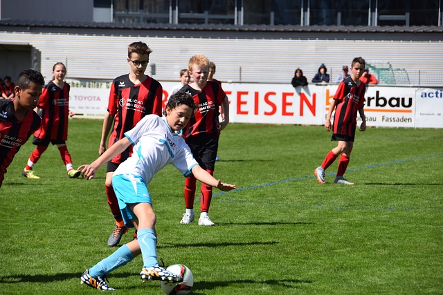 多特蒙德的 多特蒙德的