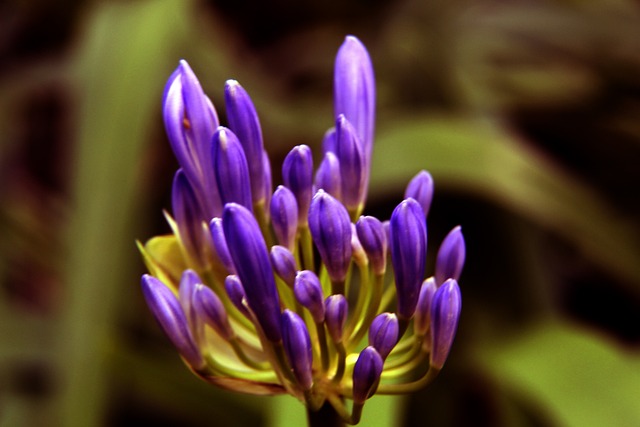 关键任务 关键任务