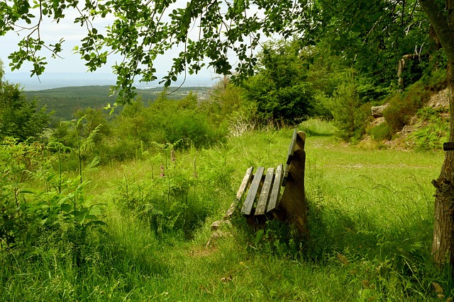 光辉时刻 光辉时刻